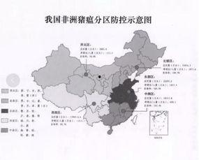 最新国产区,探索国产电影的新时代篇章