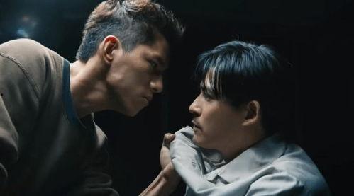 国产性虐,探索社会现象与人性冲突的深度剖析