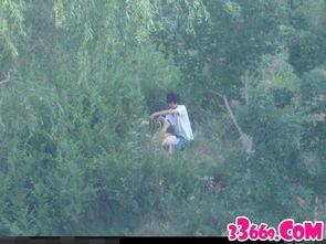 国产树林野战在线播放